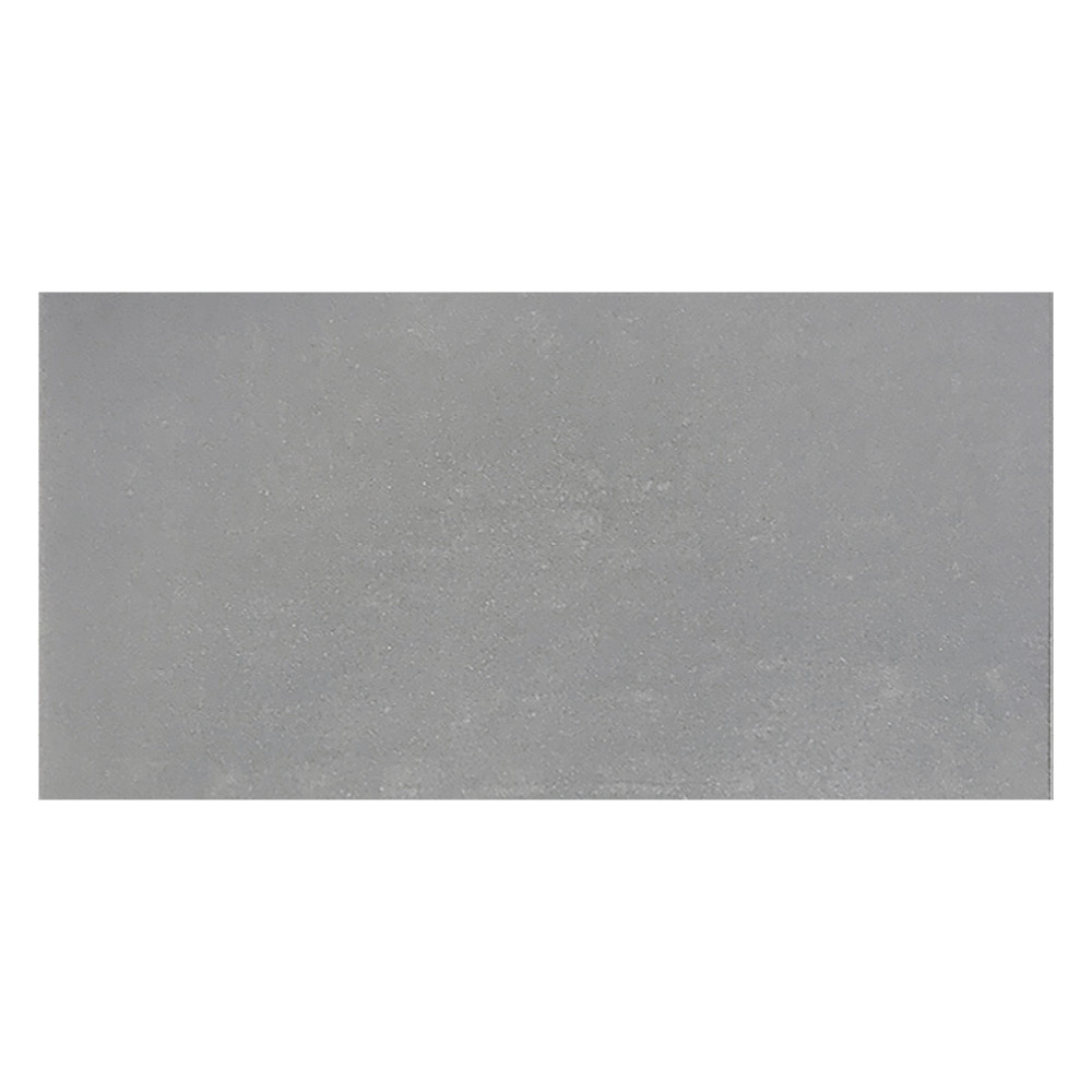 Traffic Light Grey Polished Tile - 600x300mm
